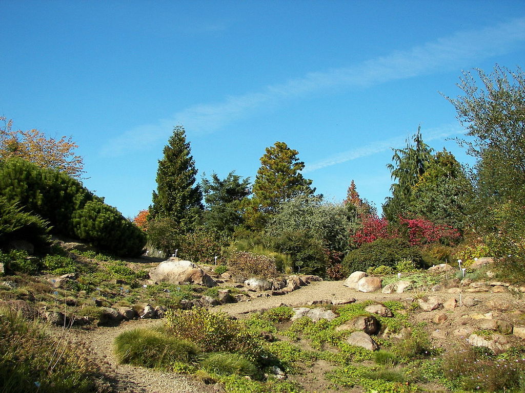 باغ گیاه شناسی گارتن ماربورگ