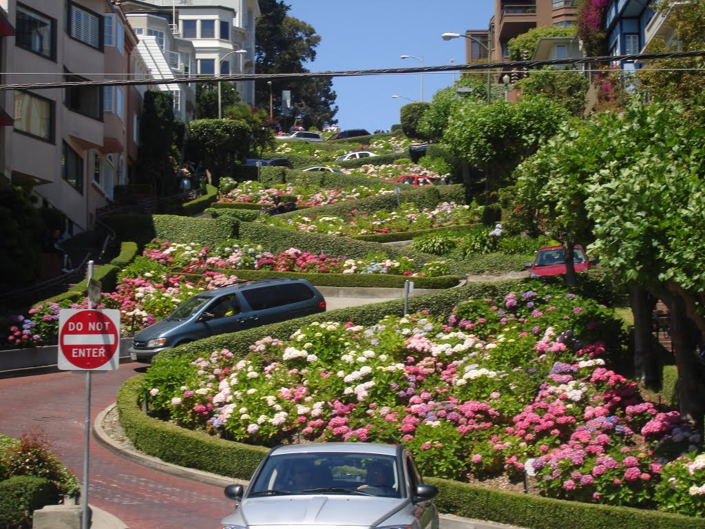 شهر های توریستی : کج ترین خیابان جهان در سانفرانسیسکو