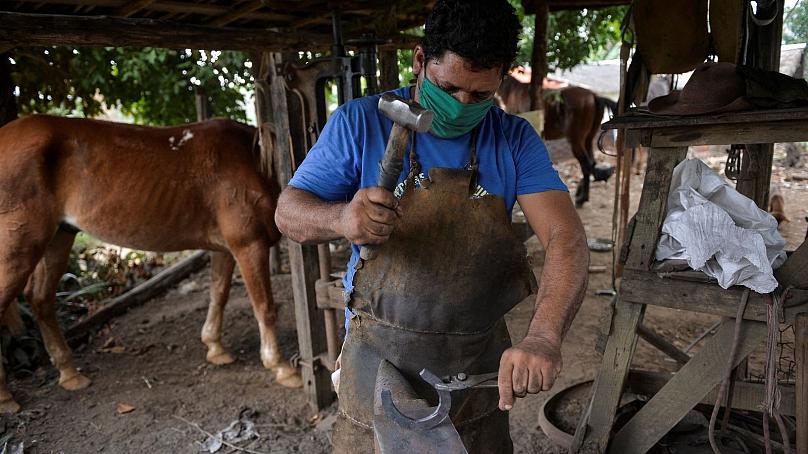 کشاورزی در کوبا : از گاری‌‌های اسبی گرفته تا نعل اسب